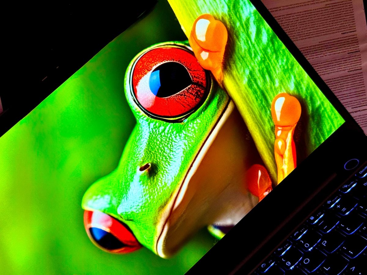 Lenovo ThinkPad