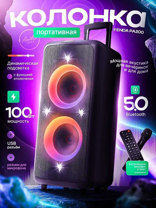 Портативная колонка Fenda PA300 c микрофоном в комплекте